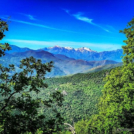 Nuits Magiques Au Village Entre Mer Et Montagnes Bigorno Exterior foto